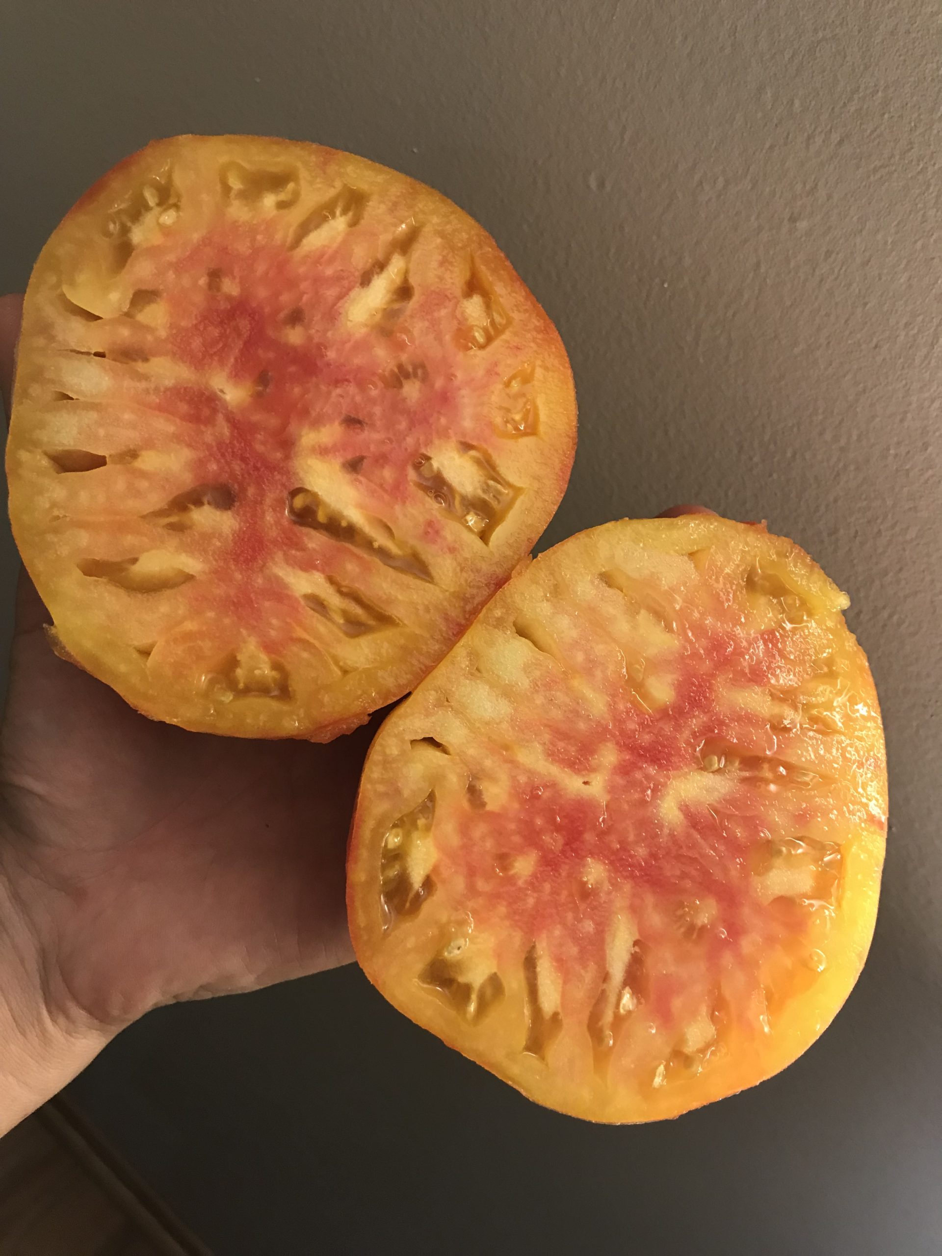 Midnight Sun Indeterminate Slicing Tomato Seeds