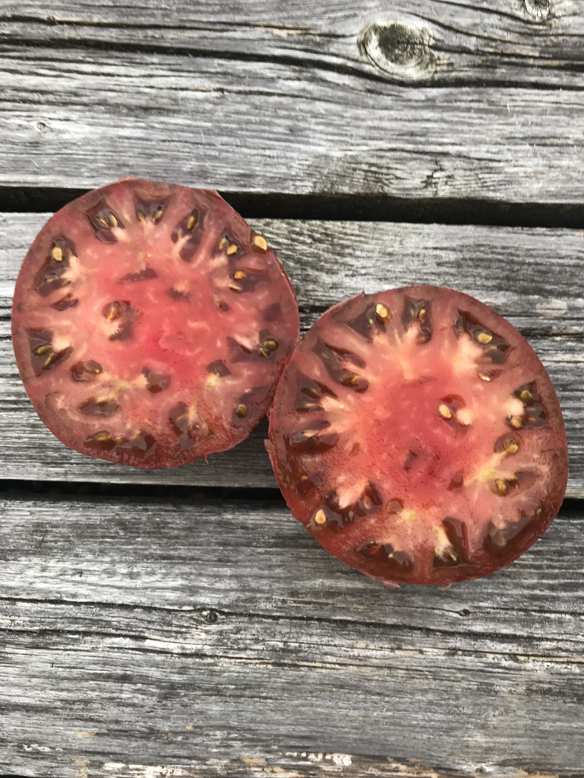 Purple Cherokee Indeterminate Slicing Tomato Seeds