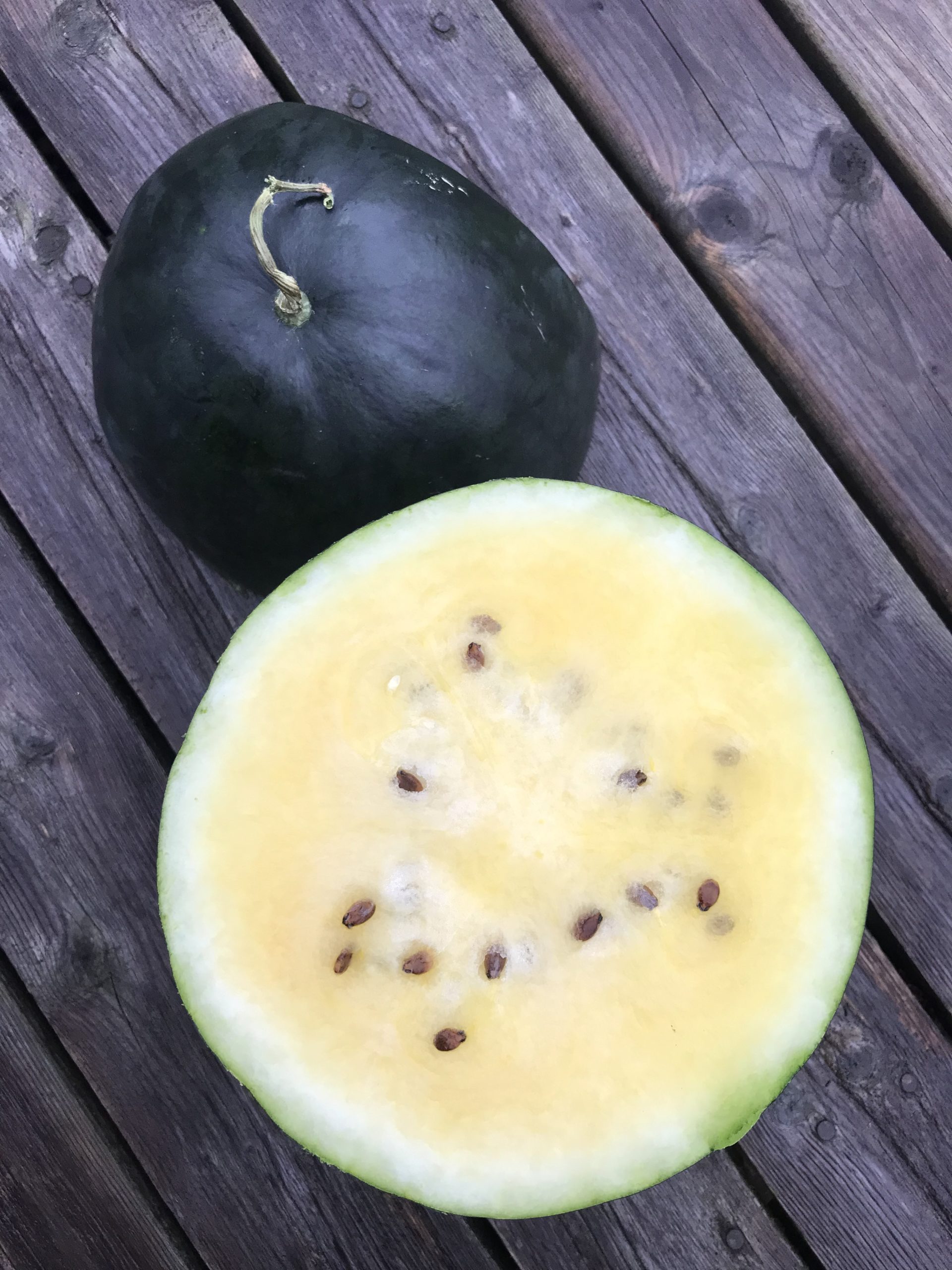 Janosik Golden Watermelon Seeds