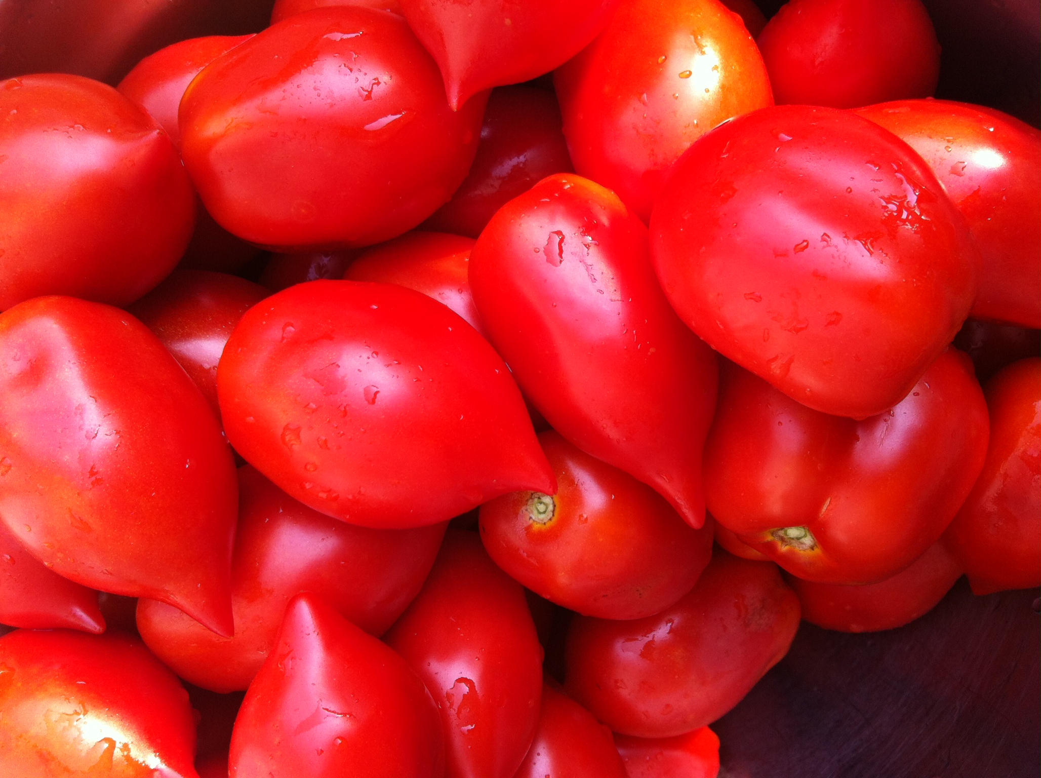 Ropreco Determinate Paste Tomato Seeds