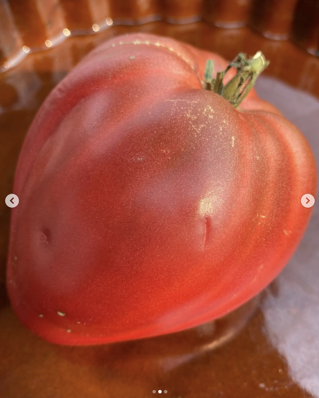 Oxheart: Tundra Indeterminate Tomato Seeds